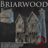 Dark Realms - Briarwood - House 6 image