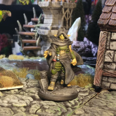 Picture of print of "Lotus" - Way of Mercy Monk [PRE-SUPPORTED] | Firbolg Series