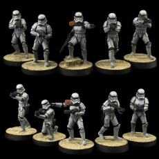 Picture of print of Imperial Troopers