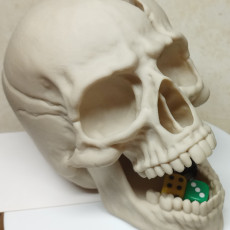 Picture of print of Cracked Skull - Dice Tower