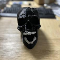 Picture of print of Cracked Skull - Dice Tower