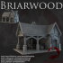 Dark Realms - Briarwood - Forge image