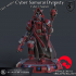 Cyber Samurai Dynasty - Cyber Chaplain - 5e Compatible image
