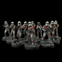 Exiled Imperial Troopers print image