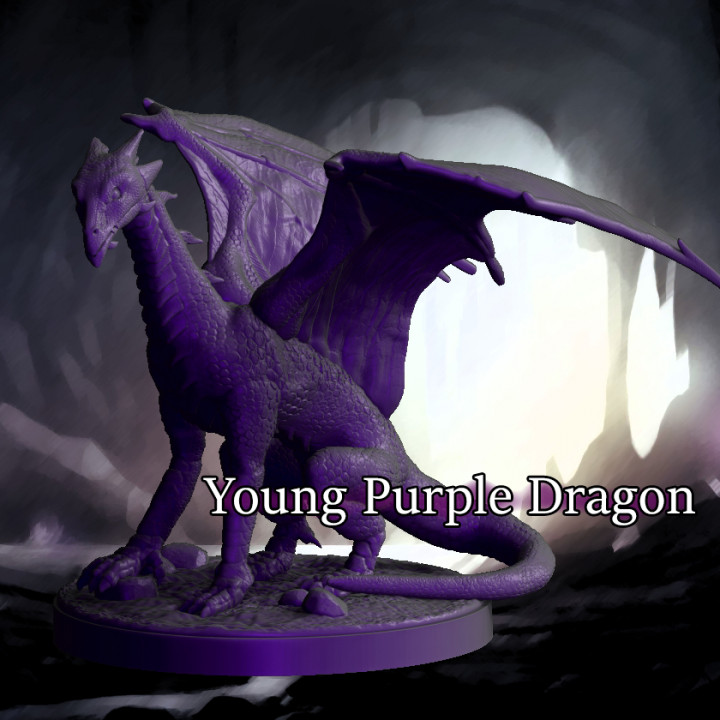 Young Purple Dragon's Cover