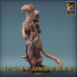 Pack Mousin Weasel image