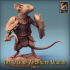 Pack Mousin Mouse image
