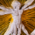Vitruvian Man image