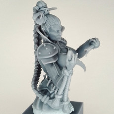 Picture of print of Weapon Poisoner Mistress (55mm Bust)
