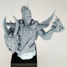 Picture of print of Harkon - Variant 1 (55mm Bust)