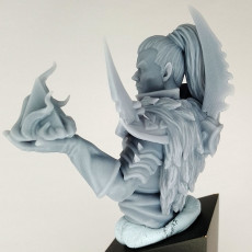 Picture of print of Harkon - Variant 1 (55mm Bust)