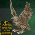 AEMIOA09 - Poe, the Ravenfinch image