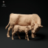 Red Devon Cow with Calf image