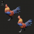 Roosters image