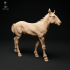 Suffolk Punch Horse Foal pack image