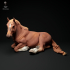 Suffolk Punch Mare Lying image