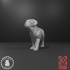Mastiff Set - Snowball Sculpts image