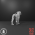 Mastiff Set - Snowball Sculpts image