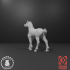 Unicorn Foal Set - Snowball Sculpts image