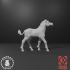 Unicorn Foal Set - Snowball Sculpts image