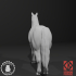 Horse Set - Snowball Sculpts image