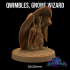 Qwimbles, Gnome Wizard | PRESUPPORTED | The Caverns of Aberrant Horror image