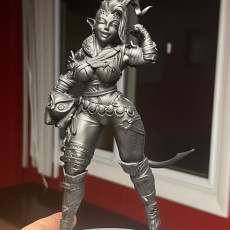 Picture of print of Infernal Tiefling Barbarian