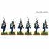 French Light Infantry Chasseurs image