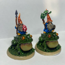 Picture of print of Battle for Shroom Pass - Monopose Gnome Army