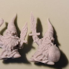Picture of print of Battle for Shroom Pass - Monopose Gnome Army