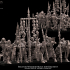 Skeleton Warriors multi-part regiment image
