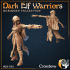 Dark Elf Warriors x5 image