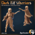 Dark Elf Warriors x5 image