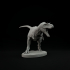 Gorgosaurus roaring 1-35 scale pre-supported dinosaur image