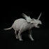 Styracosaurus roaring 1-35 scale pre-supported dinosaur image