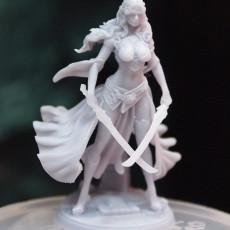 Picture of print of Wood Elf Assassin