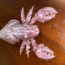 Picture of print of Hermit Crab Crabsta / Cute Claw Hugger Articulated / Print-in-Place Creature / Underwater Animal / Water Monster / Fantasy World Beast