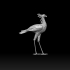 bird secretary image