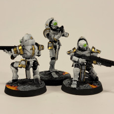 Picture of print of Snipers