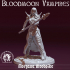 Morgana Bloodpike - Bloodmoon Vampire image