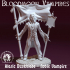 Alaric Duskblade - Noble Bloodmoon Vampire image