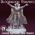Luciana Nightshade - Noble Bloodmoon Vampire image