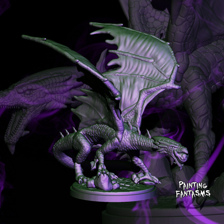 Adult Purple Dragon's Cover