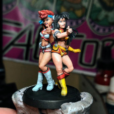 Picture of print of The Lovely Angels - Dirty Pair - 32mm Miniature FREE