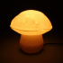 Table lamp “Edulis Fungus” organic image