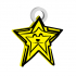 TWINKLING CHRISTMASS STAR KEYCHAIN / EARRINGS / NECKLACE image