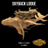 Skyback Lodge image