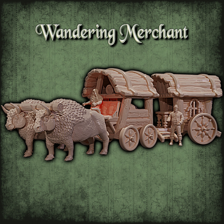 Wandering Merchant Collection's Cover