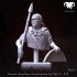 Bust - Roman Auxiliary Cavalryman 1st-2nd C. A.D. Horsemen of Antiquity! image