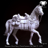 Horse - Roman Auxiliary Cavalryman 1st-2nd C. A.D. Hooves of Honor! image